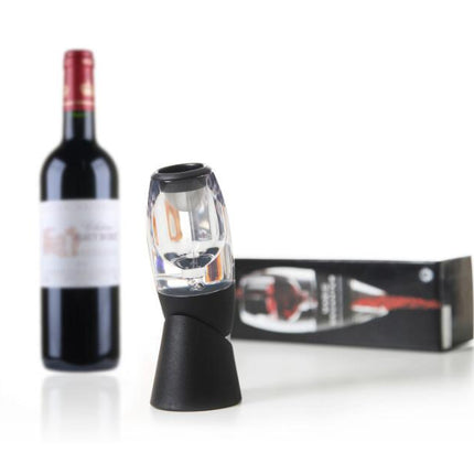 Wine Decanter and Pourer