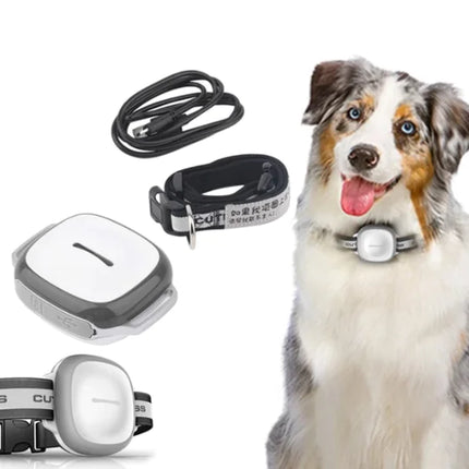 Pet Locator Device