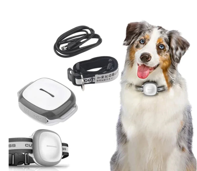Pet GPS Locator Device
